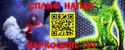 гашик Ливны