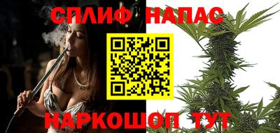 гашик Ливны